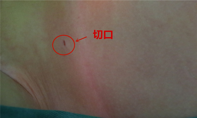 0N2A9834_副本.jpg